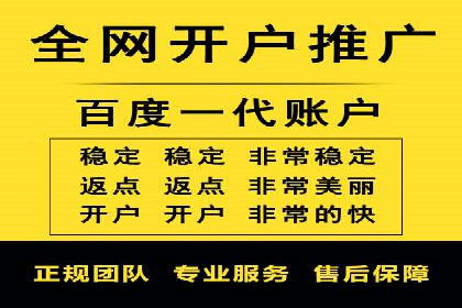 成功SEM推广代运营案例分享